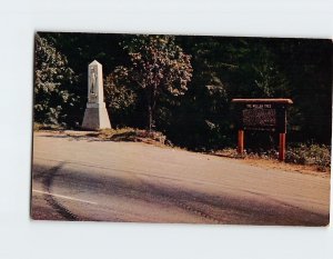 Postcard Fourth Of July Canyon And Mullan Tree New Mexico USA