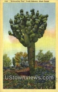 Watermelon Tree - Misc, Arizona AZ  