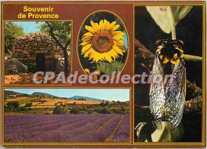 Modern Postcard Souvenir de Provence