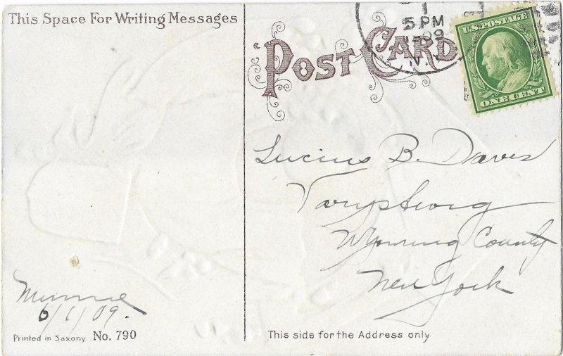 Patriotic Beautiful Lady Waving American Flags 1909