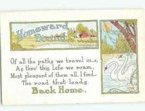 Divided-Back BIRDS SCENE Pretty Postcard AA8750