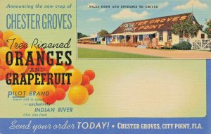 City Point FL Chester Groves Oranges & Grapefruit Indian River Postcard