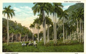 cuba, Paisaje Cubano, Palm Trees (1930s) Postcard
