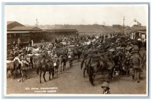 South Africa Postcard Natal Carbineers Trucking Horses c1930's RPPC Photo