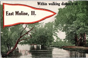 Postcard NATURE SCENE East Moline Illinois IL AI4405