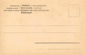 RPPC Edwardian Woman Mirror Hand-Tinted Photo Postcard Glamour Antique ca 1900s