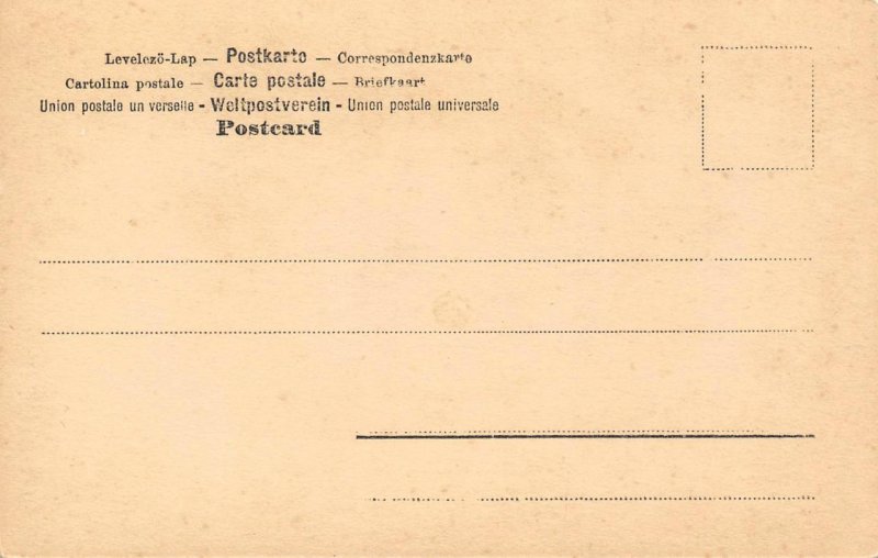 RPPC Edwardian Woman Mirror Hand-Tinted Photo Postcard Glamour Antique ca 1900s