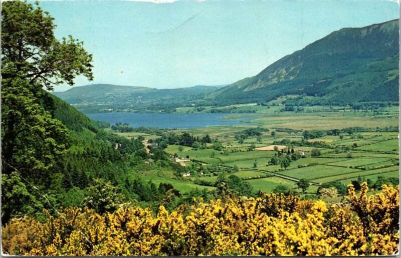 English Lakes Bassenthwaite Whinlatter Pass Sanderson Dixon Postcard PM Vintage