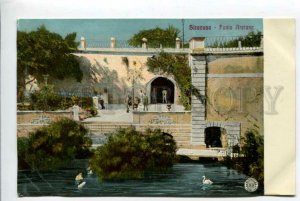 425909 ITALY SIRACUSA Fonte Aretusa SWAN Vintage postcard