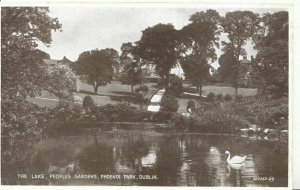 Ireland Postcard - The Lake - People's Gardens - Phoenix Park, Dublin Ref ZZ3957