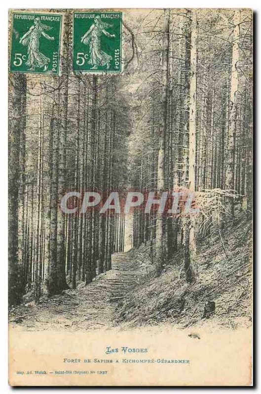 Old Postcard The Forest Vosges Sapine has Kichompré Gerardmer