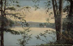 White Plains NY Silver Lake c1910 Postcard