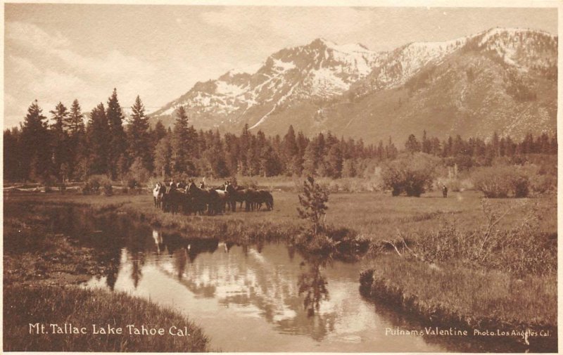 RPPC Mt. Tallac Meadows LAKE TAHOE California Horses ca 1910s Vintage Postcard