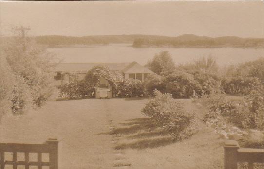 Maine Castine Torii Shop Real Photo