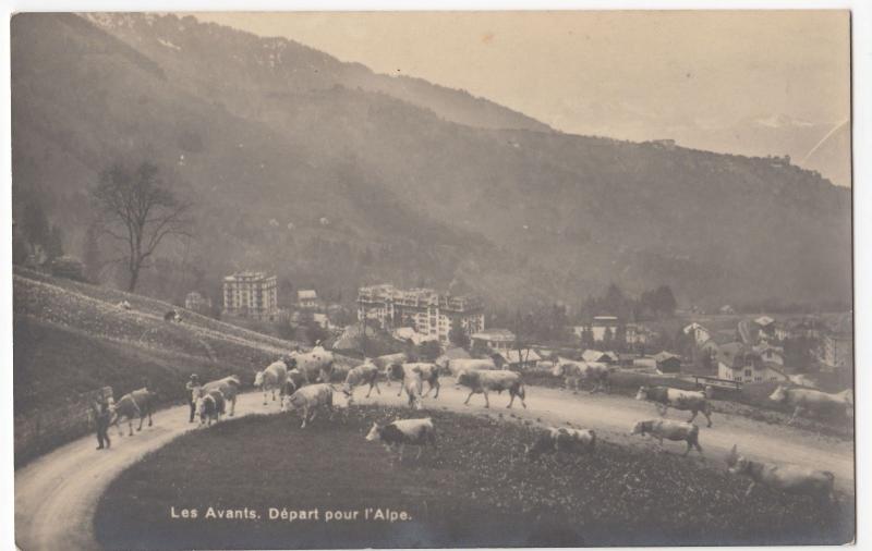 Switzerland; Les Avants, Leaving For The Alps RP PPC, Unposted, c 1930's 