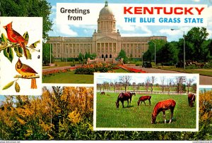 Kentucky Greetings From The Bluegrass State