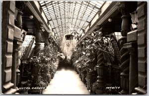 1950's Hotel Genova Mexico Potted Plants Real Photo RPPC Posted Postcard