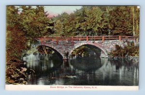 Stone Bridge Ashuelot River Keene New Hampshire NH 1907 DB Postcard Q2