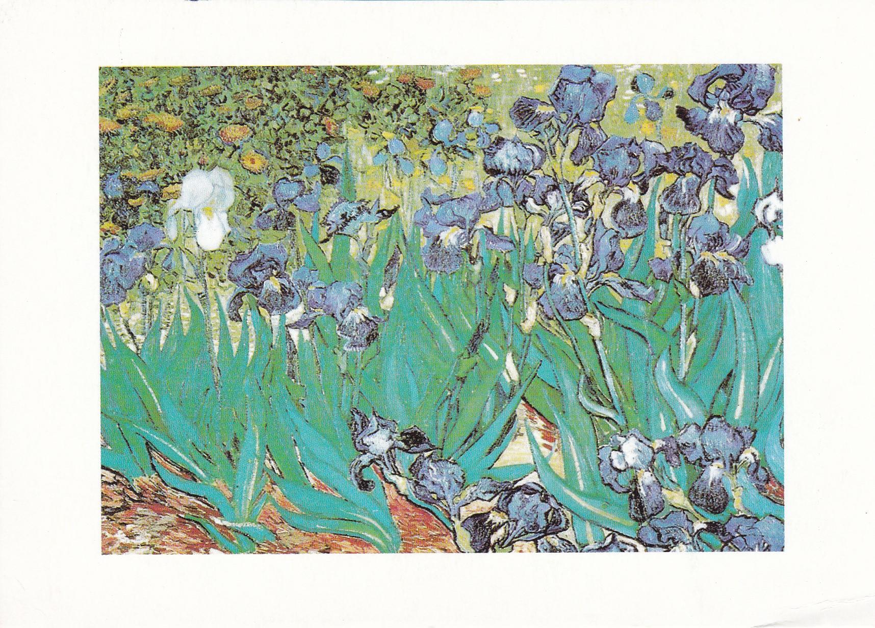 POSTAL 18226: Lirios de Vincent van Gogh | Other / Unsorted, Postcard ...