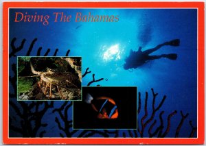 VINTAGE CONTINENTAL SIZE POSTCARD UNDERWATER DIVING THE BAHAMAS