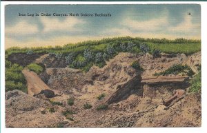 Iron Log in Cedar Canyon, North Dakota Badlands