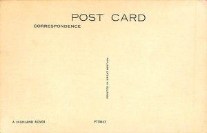 Highland Rover Cow Postcard