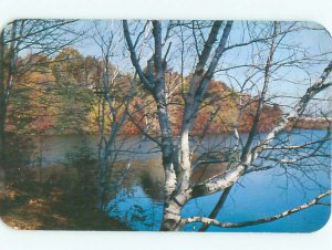 Pre-1980 LAKE SCENE Rochester New York NY AE4082