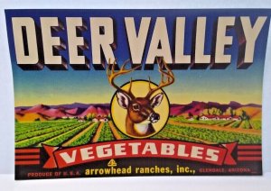 Deer Valley Vegetables Arrowhead Ranches Vintage Crate Label 1950's Original