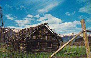 Alaska Cantwell Old Abandoned Trapper's Cabin