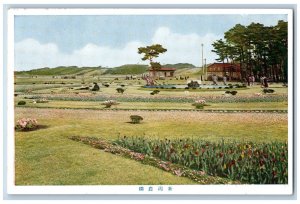 Niigata City Japan Postcard Niigata Farm Fields House Near c1930's Unposted