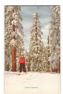 Yosemite National Park California CA Postcard 1930-1950 Winter in Yosemite