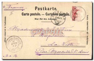 Old Postcard Cow Cows Mountains