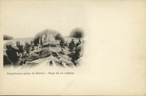 bolivia, RIO MADERA, Exportacion Goma de Bolivia, Popa de un Batelon (1899)