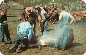 Western, Rocky Mountain Empire, Cattle Branding, Dexter No. 89276