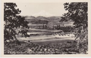 Oregon Mount Hood From Hood River Valley Real Photo