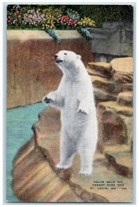 c1940's Polar Bear Pit Forest Park Zoo St. Louis Missouri MO Unposted Postcard