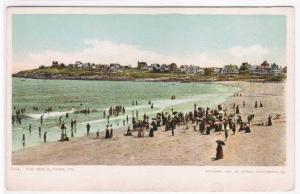 Beach Crowd York Maine Detroit Publishing 1905c postcard