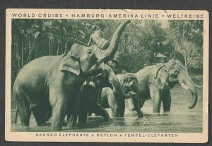 1929 PPC* WORLD CRUISE HAMBURG-AMERIKA LINIE SHOWS SACRED ELEPHANTS SEE INFO