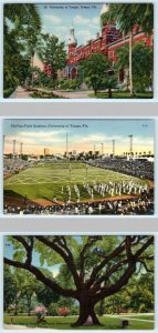 3 Postcards UNIVERSITY of TAMPA, FL ~ Phillips Field Stadium, Old Oak ca 1940s
