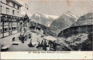 Switzerland Schynige Platte Wetterhorn und Schreckhorn Vintage Postcard C219