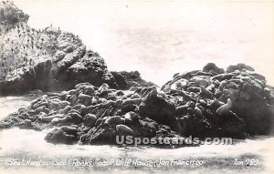 Seal Herd, Seal Rock, Real Photo - San Francisco, CA