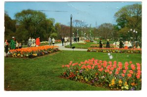 Public Gardens, Boston, Massachusetts, Used 1959