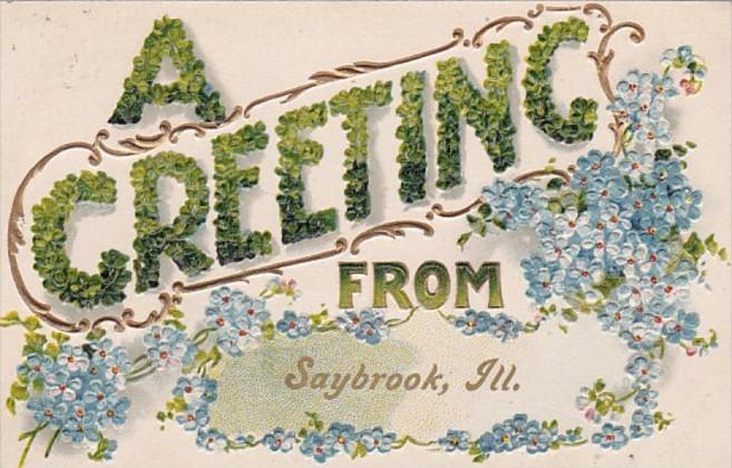 Greetings From Saybrook Illinois 1909