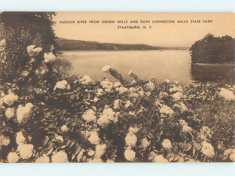 Unused 1920's PARK SCENE Staatsburg New York NY hk9058