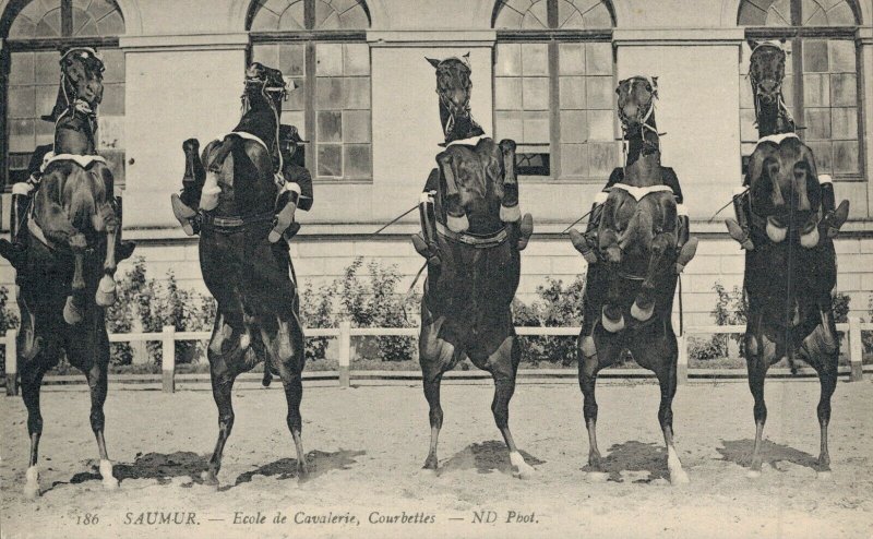 Military - Saumur Ecole de Cavalerie Courbettes 04.73