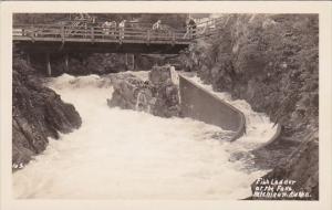 Alaska Ketchikan Fish Ladder At The Falls Real Photo