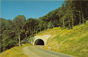 Asheville & Mt. Pisgah North Carolina 1960s Postcard Birch Spring Tunnel