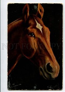 3076551 Head of HORSE by THOMAS vintage Color PC