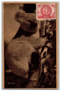 1947 View of Koala Hanging in the Tree Australia Vintage Posted Postcard