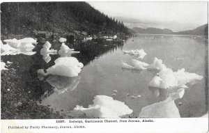 Icebergs Gastineaux Channel from Juneau Alaska